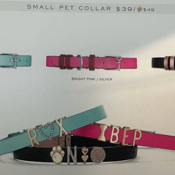 KEEP Collective Other - Keep Collective Small Pet collar Bright Pink Silver